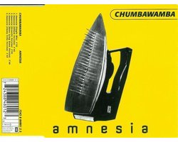 Amnesia