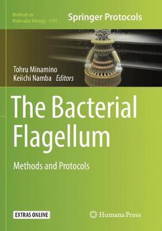 Methods in Molecular Biology-The Bacterial Flagellum | 9781493983414 ...