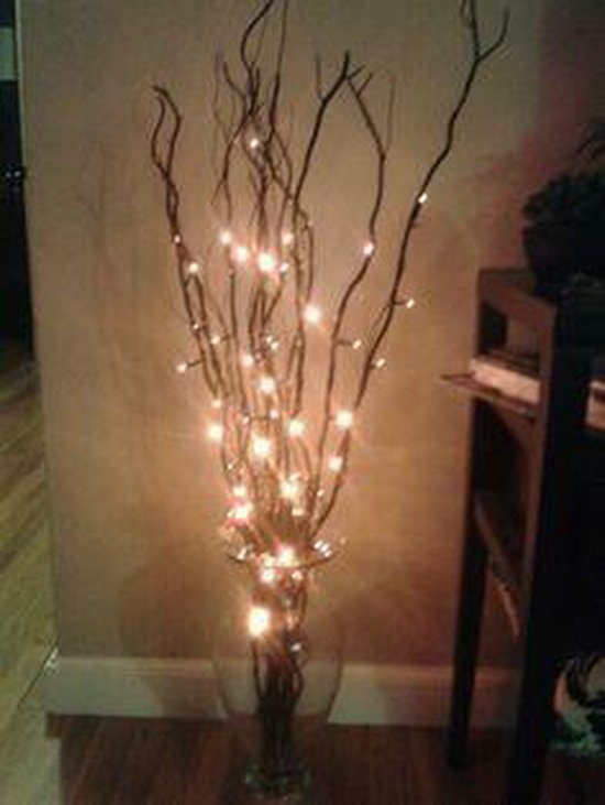 5 Takken met verlichting | LED | Warm Wit | 70 Cm | Kerst | Kerst Takken Licht... | bol.com
