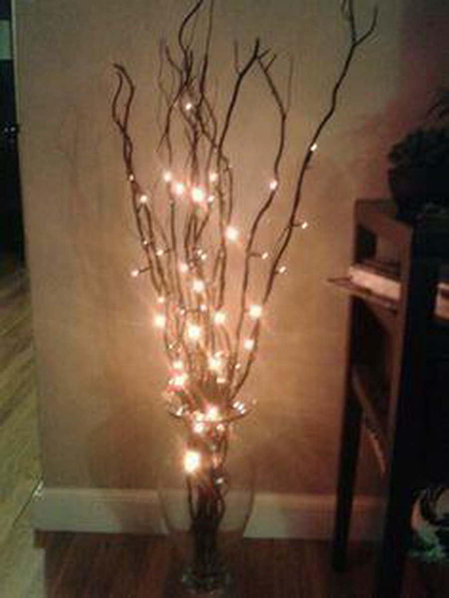 5 Takken met verlichting | 20 LED | Warm Wit | 70 Cm | Kerst | Kerst Takken  met Licht... | bol.com