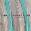 Sonic Migration