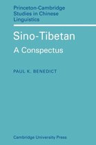 Princeton/Cambridge Studies in Chinese Linguistics