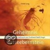 Geheimnis Ostseebernstein