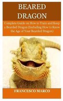 Bearded Dragon