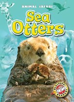 Animal Safari - Sea Otters