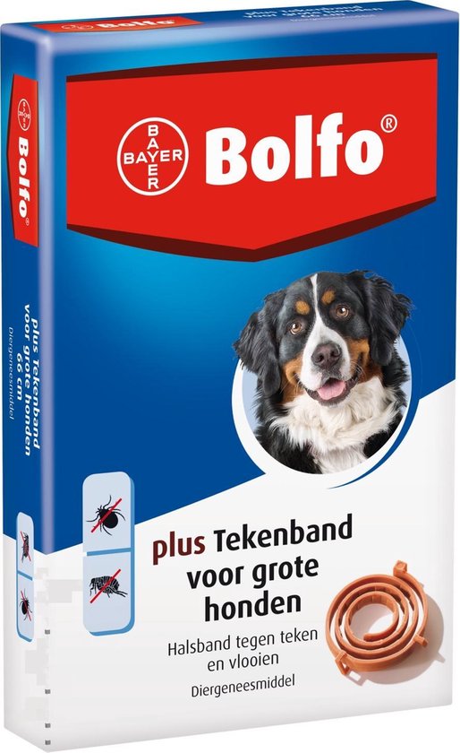 Bolfo Plus en Tekenband - Grote Hond | bol.com