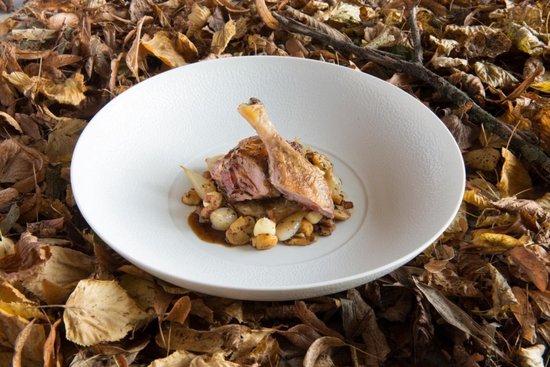From farm to fork in the Netherlands