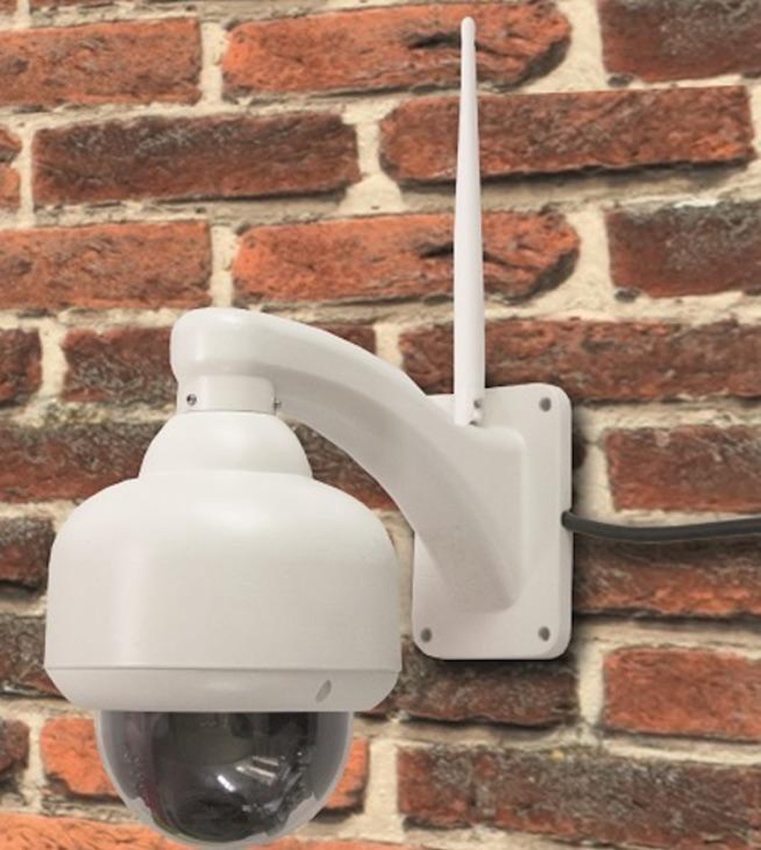 Mr. Safe IP Outdoor Beveiligingscamera - HD Dome - IR Nachtvisie tot 20 m -  Plug & Play | bol.com