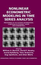 Nonlinear Econometric Modeling in Time Series Analysis