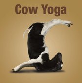 Cow Yoga