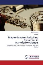Magnetization Switching Dynamics in Nanoferromagnets