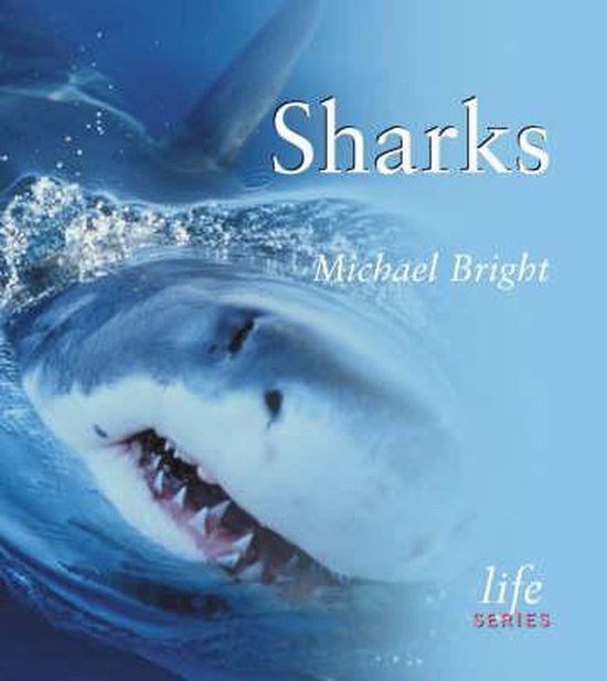Sharks - cover