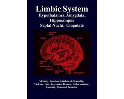 Limbic System