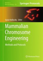 Mammalian Chromosome Engineering