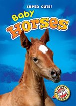 Super Cute! - Baby Horses