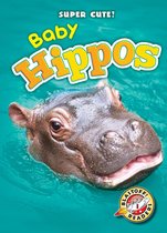 Super Cute! - Baby Hippos