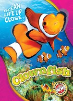 Ocean Life Up Close - Clownfish