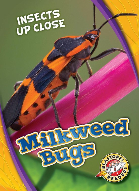 Insects Up Close - Milkweed Bugs - cover