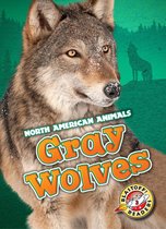 North American Animals - Gray Wolves