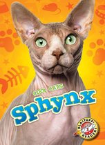 Cool Cats - Sphynx