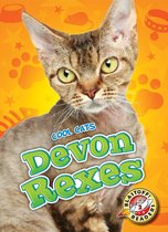 Cool Cats - Devon Rexes