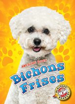 Awesome Dogs - Bichons Frises