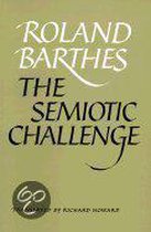 The Semiotic Challenge
