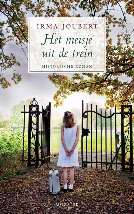 Cover van het boek 'Het meisje uit de trein' van Irma Joubert