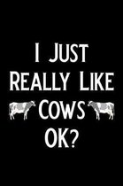 I Just Really Like Cows Ok