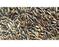 Garvo - Gepunte zwarte haver - Paardenvoer - 20kg