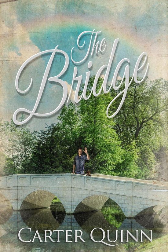 Omslag van The Bridge