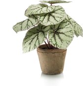 Kunstplant Begonia grijs 25 cm in pot