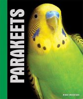 Your Parakeet
