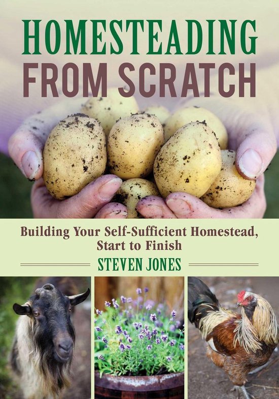 Homesteading From Scratch - cover