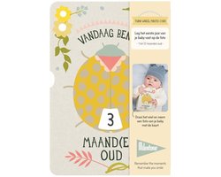 Milestone™ Turn Wheel Photo Card - Baby Ages