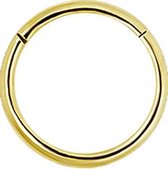 18 Karaat Gouden Segment Ring (1mm) - Neus Oor Piercing