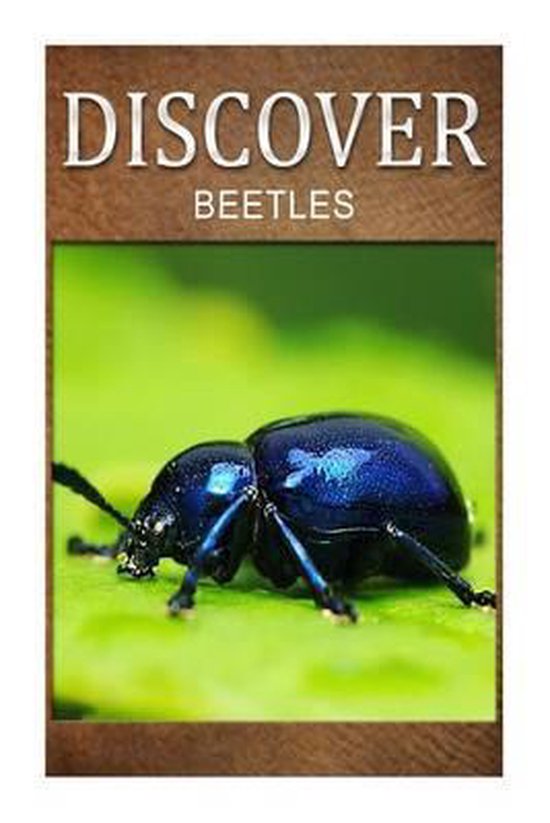 Beetles - Discover - cover