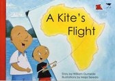 A Kite's Flight