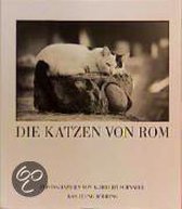 Die Katzen von Rom