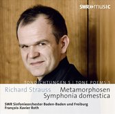 SWF-Sinfonieorchester & Sinfonieorchester Baden-Bad - Strauss: Symphonia Domestica Metarmophosen (CD)