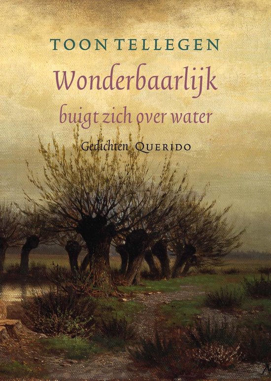 Wonderbaarlijk buigt zich over water - cover