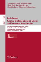 Lecture Notes in Computer Science 11383 - Brainlesion: Glioma, Multiple Sclerosis, Stroke and Traumatic Brain Injuries