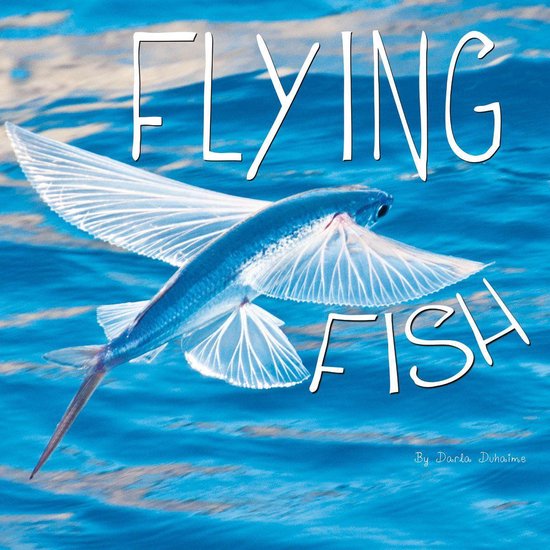 Ocean Animals - Flying Fish - cover