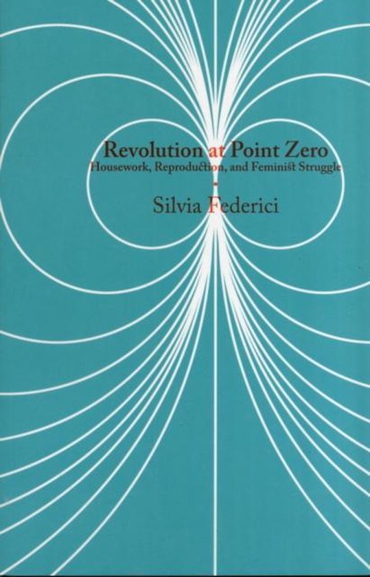 Boek 'Revolution at Point Zero' met 'Housework, Reproduction, and Feminist Struggle' en auteur Silvia Federici op een turquoise achtergrond met witte lijnen.