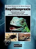 Reptilienpraxis