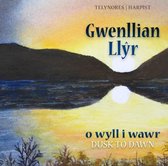 Gwenllian Llyr - O Wyll I Wawr. Dusk To Dawn (CD)