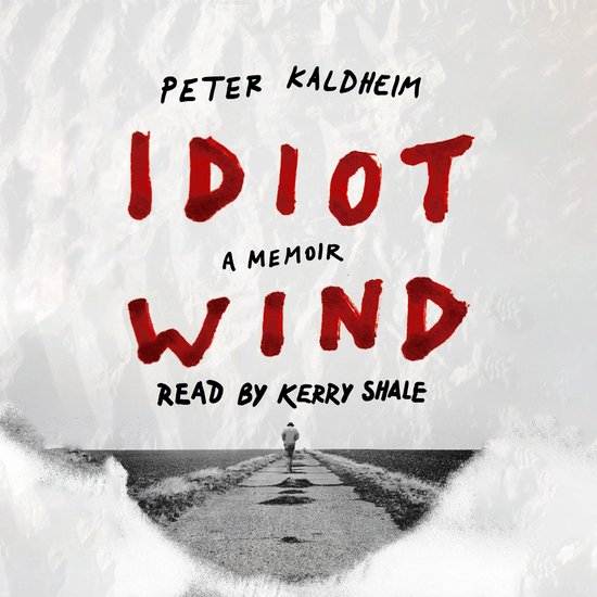 Idiot Wind - cover