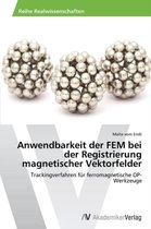 Anwendbarkeit der FEM bei der Registrierung magnetischer Vektorfelder