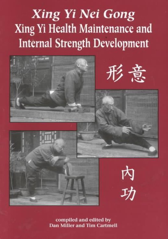 Xing Yi Nei Gong - cover