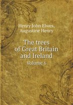 The Trees of Great Britain and Ireland Volume 6